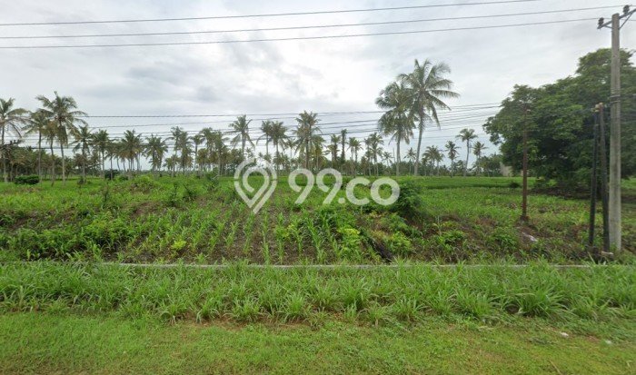 Tanah Kavling untuk Dijual di Kalianda Lampung Selatan 30945m2 Tanah Kavling untuk Dijual di Kalianda Lampung Selatan 30945m2