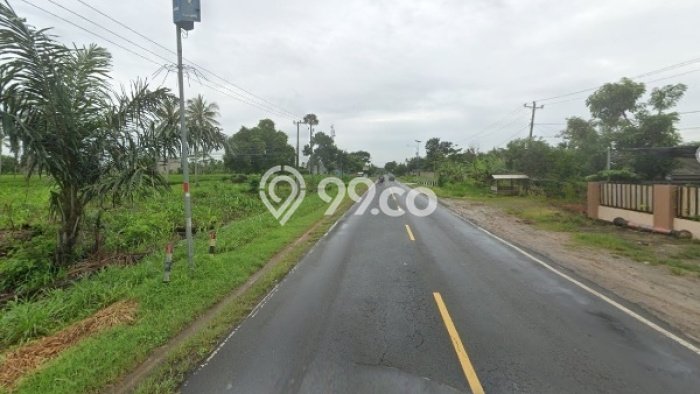 Tanah Kavling untuk Dijual di Kalianda Lampung Selatan 30945m2 Tanah Kavling untuk Dijual di Kalianda Lampung Selatan 30945m2