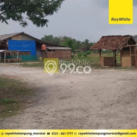 Untuk Dijual Tanah 21573m2 di Pringsewu, Tanggamus Untuk Dijual Tanah 21573m2 di Pringsewu, Tanggamus