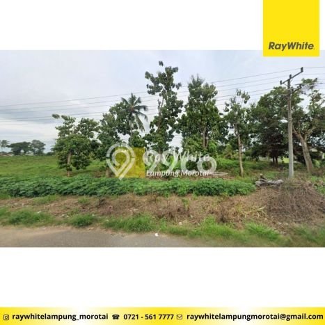 Tanah Dijual Lokasi Terbanggi Besar, Lampung Tengah Luas 19818m2 Legalitas Aman Tanah Dijual Lokasi Terbanggi Besar, Lampung Tengah Luas 19818m2 Legalitas Aman