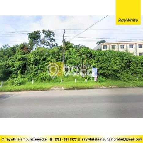 Kavling Tanah Dijual di Terbanggi Besar Lampung Tengah Spesifikasi 1m2 Kavling Tanah Dijual di Terbanggi Besar Lampung Tengah Spesifikasi 1m2