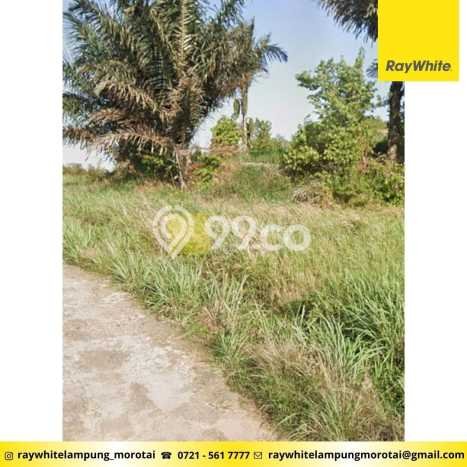 Lahan untuk Dijual di Sukabumi Bandar Lampung Luas 60679m2 Lahan untuk Dijual di Sukabumi Bandar Lampung Luas 60679m2