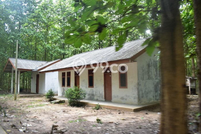 Tanah Dijual Lokasi Natar, Lampung Selatan Luas 769150m2 Legalitas Aman Tanah Dijual Lokasi Natar, Lampung Selatan Luas 769150m2 Legalitas Aman