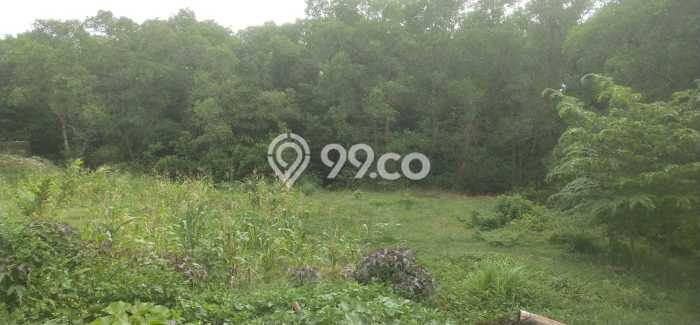 Dijual Tanah di Badung, Luas 1700m2 SHM Dijual Tanah di Badung, Luas 1700m2 SHM