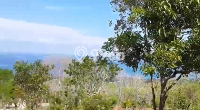 Lahan untuk Dijual Lokasi Buleleng, Buleleng Luas 35000m2 SHM Lahan untuk Dijual Lokasi Buleleng, Buleleng Luas 35000m2 SHM