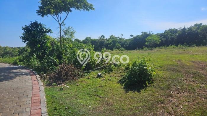 Tanah Dijual di Badung Seluas 10000m2 Strategis Tanah Dijual di Badung Seluas 10000m2 Strategis