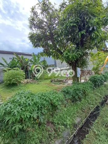 Tanah Disewakan Lokasi Bandung Seluas 246m2 Strategis dan Aman Tanah Disewakan Lokasi Bandung Seluas 246m2 Strategis dan Aman