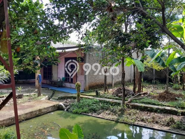 Kavling Tanah di Ciseeng Dijual Luas 10001m2 Legalitas SHM Kavling Tanah di Ciseeng Dijual Luas 10001m2 Legalitas SHM