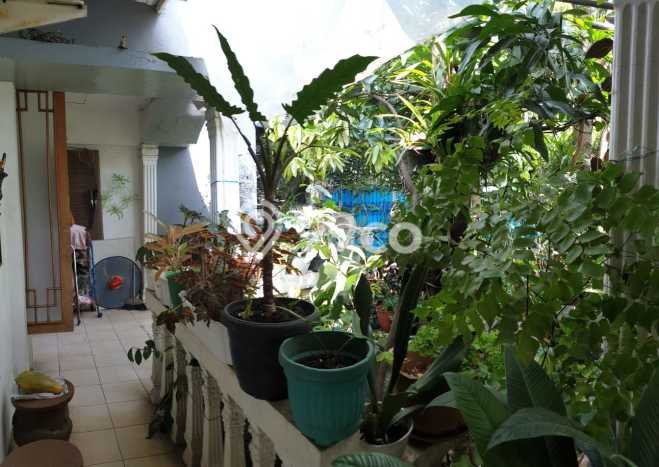 Rumah Mewah Akses Strategis di Bandung Rumah Mewah Akses Strategis di Bandung