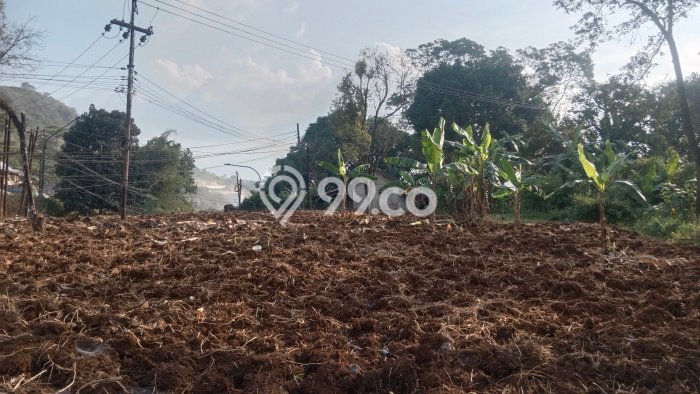 Untuk Dijual Tanah 38600m2 di Padalarang, Bandung Untuk Dijual Tanah 38600m2 di Padalarang, Bandung