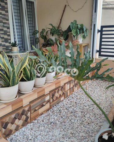 For Sale Rumah 2 Kamar Lokasi Strategis Nyaman dan Strategis di Tajur Halang For Sale Rumah 2 Kamar Lokasi Strategis Nyaman dan Strategis di Tajur Halang