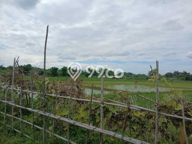Lahan Kosong Dijual di Klari, Karawang, Luas 1.556715e+06m2 Area Strategis Lahan Kosong Dijual di Klari, Karawang, Luas 1.556715e+06m2 Area Strategis