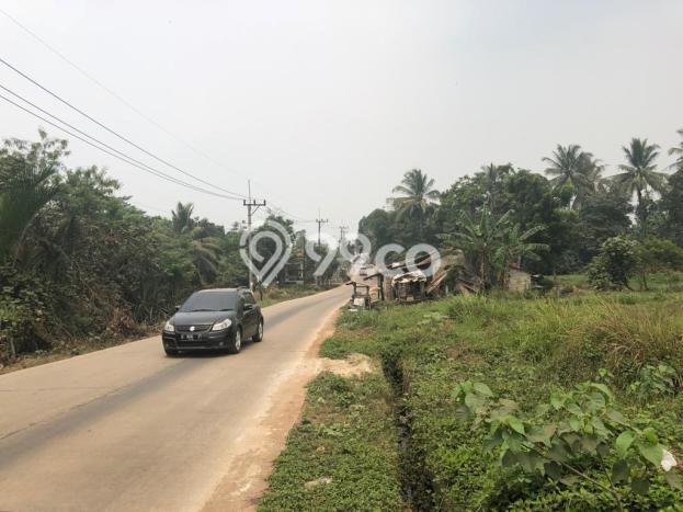 Tanah Dijual Lokasi Parung Panjang Bogor SHM Tanah Dijual Lokasi Parung Panjang Bogor SHM