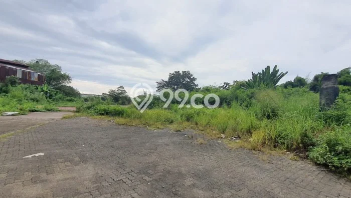 Kavling Tanah Dijual di Cibinong Bogor Spesifikasi 11881m2 Kavling Tanah Dijual di Cibinong Bogor Spesifikasi 11881m2