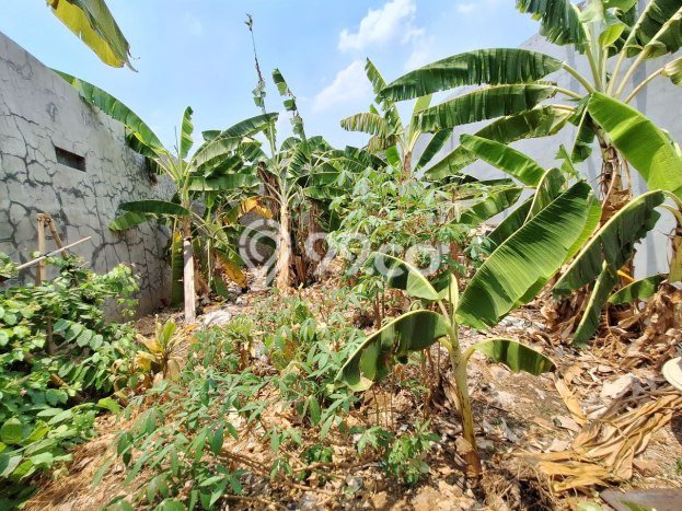Tanah Dijual di Bekasi Seluas 120m2 Strategis Tanah Dijual di Bekasi Seluas 120m2 Strategis