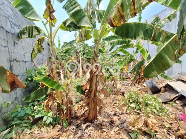 Tanah Dijual di Bekasi Seluas 120m2 Strategis Tanah Dijual di Bekasi Seluas 120m2 Strategis
