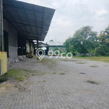 Pabrik Dijual di Prime Area Probolinggo Luas 9600m2 Pabrik Dijual di Prime Area Probolinggo Luas 9600m2