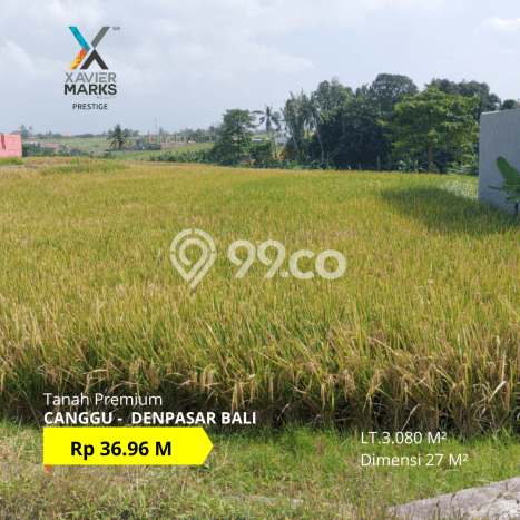 Tanah Kavling Dijual di Badung dengan Spesifikasi 3080m2 Tanah Kavling Dijual di Badung dengan Spesifikasi 3080m2