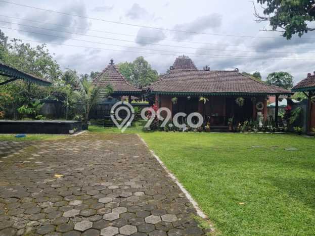 Vila Nyaman di Turi, Luas 1019m2m², Dekat ke beragam fasilitas Vila Nyaman di Turi, Luas 1019m2m², Dekat ke beragam fasilitas