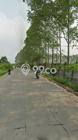 Tanah di Balaraja, Tangerang Luas 55000m2 Dijual Segera Tanah di Balaraja, Tangerang Luas 55000m2 Dijual Segera