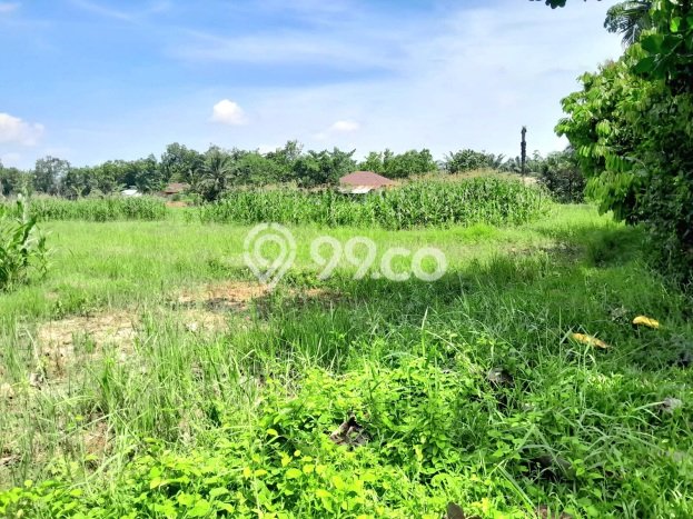 Dijual Tanah di Binjai Langkat Luas 35000m2 SHM Dijual Tanah di Binjai Langkat Luas 35000m2 SHM
