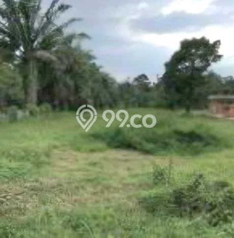 Tanah Kosong Dijual di Langkat dengan Area 10038m2 Tanah Kosong Dijual di Langkat dengan Area 10038m2