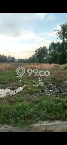 Tanah Dijual Lokasi Binjai Langkat SHM Tanah Dijual Lokasi Binjai Langkat SHM