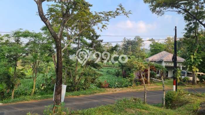 Tanah Kavling untuk Dijual di Prigen Pasuruan 3617m2 Tanah Kavling untuk Dijual di Prigen Pasuruan 3617m2