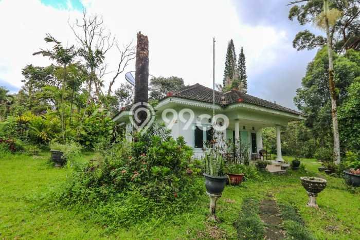 Vila Premium Kawasan Cipanas, Ukuran 11000m2m², Dekat ke berbagai keperluan Vila Premium Kawasan Cipanas, Ukuran 11000m2m², Dekat ke berbagai keperluan