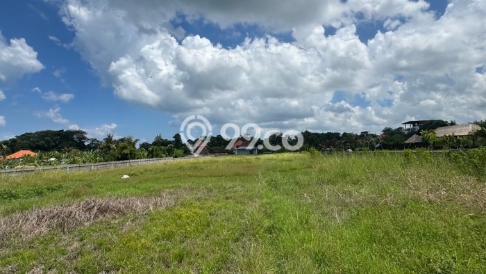 Tanah Kavling Dijual di Tabanan dengan Spesifikasi 3000m2 Tanah Kavling Dijual di Tabanan dengan Spesifikasi 3000m2