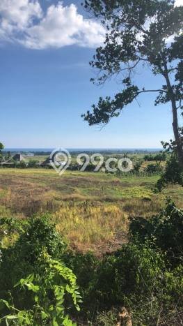 Lahan Investasi Lokasi Tabanan Tabanan SHM Lahan Investasi Lokasi Tabanan Tabanan SHM