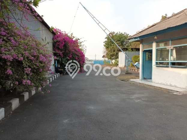 Tanah Dijual Lokasi Taman Sidoarjo SHM Tanah Dijual Lokasi Taman Sidoarjo SHM