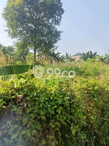 Tanah di Sawangan, Depok Luas 1000m2 Dijual Segera Tanah di Sawangan, Depok Luas 1000m2 Dijual Segera