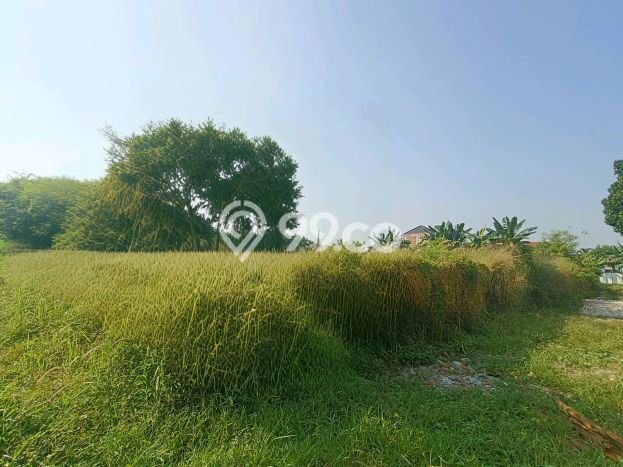 Tanah di Sawangan, Depok Luas 1000m2 Dijual Segera Tanah di Sawangan, Depok Luas 1000m2 Dijual Segera