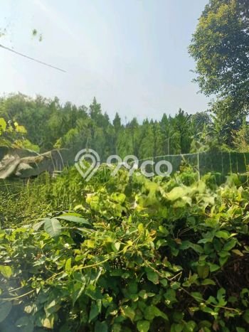 Tanah di Sawangan, Depok Luas 1000m2 Dijual Segera Tanah di Sawangan, Depok Luas 1000m2 Dijual Segera