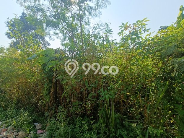 Tanah di Sawangan, Depok Luas 1000m2 Dijual Segera Tanah di Sawangan, Depok Luas 1000m2 Dijual Segera