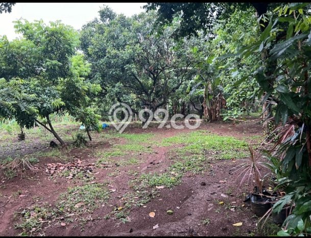 Tanah di Ciputat Timur, Tangerang Selatan Luas 2630m2 Dijual Segera Tanah di Ciputat Timur, Tangerang Selatan Luas 2630m2 Dijual Segera