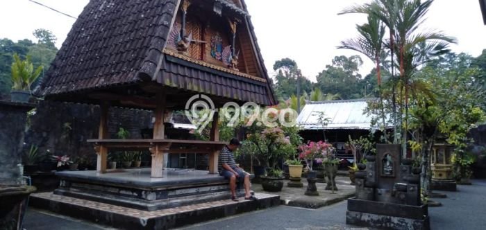 Dijual Rumah 2 Kamar Lokasi Strategis Bagus dan Strategis di Tabanan Dijual Rumah 2 Kamar Lokasi Strategis Bagus dan Strategis di Tabanan