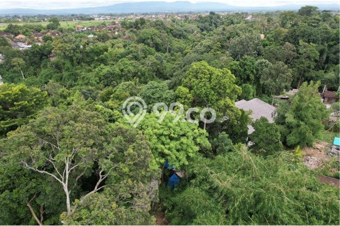 Lahan Dijual Lokasi Strategis di Tabanan dengan Luas 50m2 Lahan Dijual Lokasi Strategis di Tabanan dengan Luas 50m2