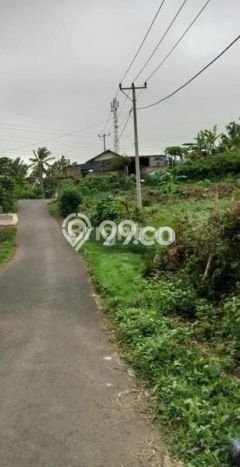 Tanah di Busungbiu, Buleleng Luas 51250m2 Dijual Segera Tanah di Busungbiu, Buleleng Luas 51250m2 Dijual Segera