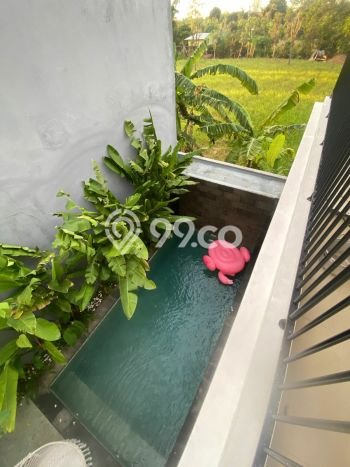 Disewakan! Rumah 2 Kamar Tidur &
2 Kamar Mandi di Jimbaran, Badung Disewakan! Rumah 2 Kamar Tidur &
2 Kamar Mandi di Jimbaran, Badung