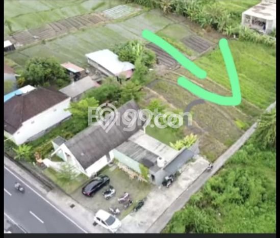 Tanah Investasi Dijual di Badung Punya Luas 1315m2 Tanah Investasi Dijual di Badung Punya Luas 1315m2