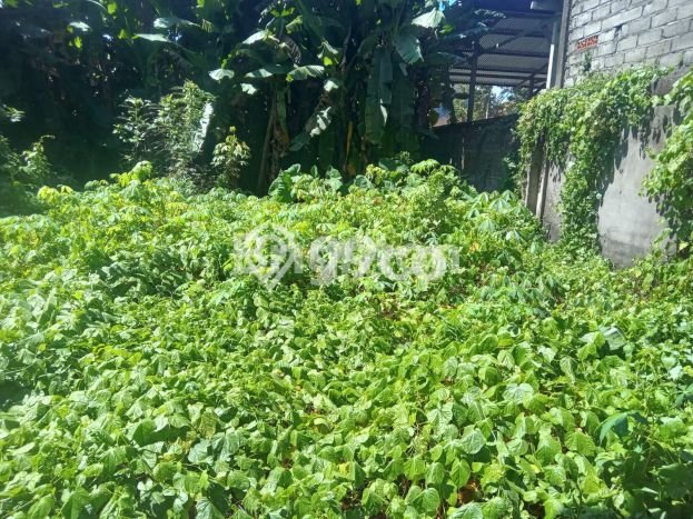 Area Ramai! Ruko Dijual di Kediri untuk Bisnis Luas Bangunan 322m2 Area Ramai! Ruko Dijual di Kediri untuk Bisnis Luas Bangunan 322m2