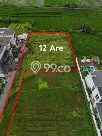 Dijual Tanah 1200m2 di Nyanyi, Badung Dijual Tanah 1200m2 di Nyanyi, Badung