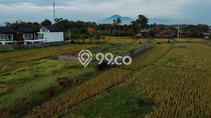 Tanah Dijual di Tabanan Seluas 700m2 Strategis Tanah Dijual di Tabanan Seluas 700m2 Strategis