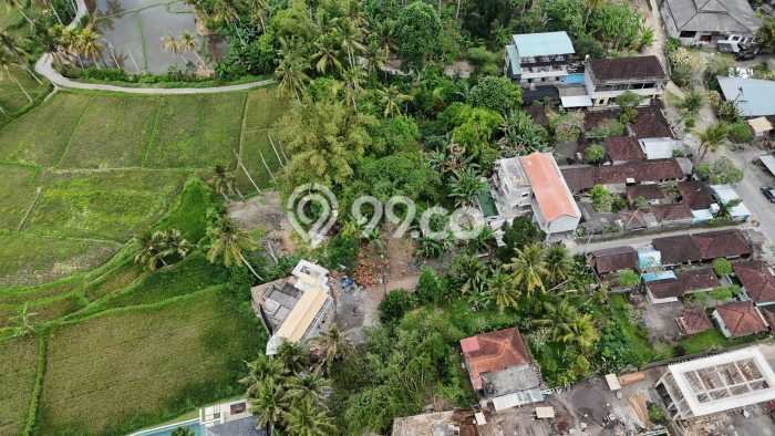 Tanah Dijual Lokasi Ubud Gianyar SHM Tanah Dijual Lokasi Ubud Gianyar SHM