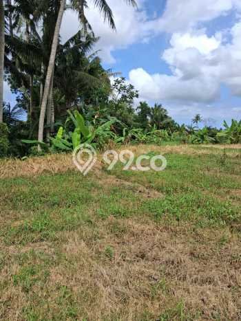 Tanah Komersial Dijual di Ubud Gianyar 3000m2 Tanah Komersial Dijual di Ubud Gianyar 3000m2