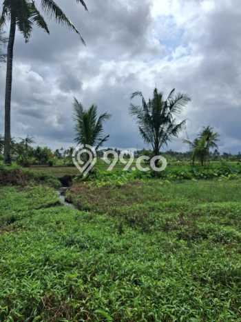 Tanah Komersial Dijual di Ubud Gianyar 3000m2 Tanah Komersial Dijual di Ubud Gianyar 3000m2