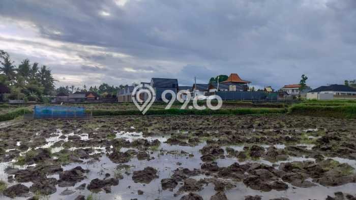 Kavling Tanah di Ubud Dijual Luas 330m2 Legalitas SHM Kavling Tanah di Ubud Dijual Luas 330m2 Legalitas SHM