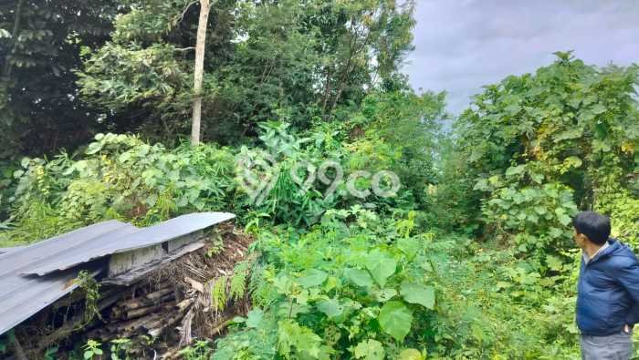 Jarang Ada! Tanah di Ubud Punya Luas 400m2 SHM Jarang Ada! Tanah di Ubud Punya Luas 400m2 SHM